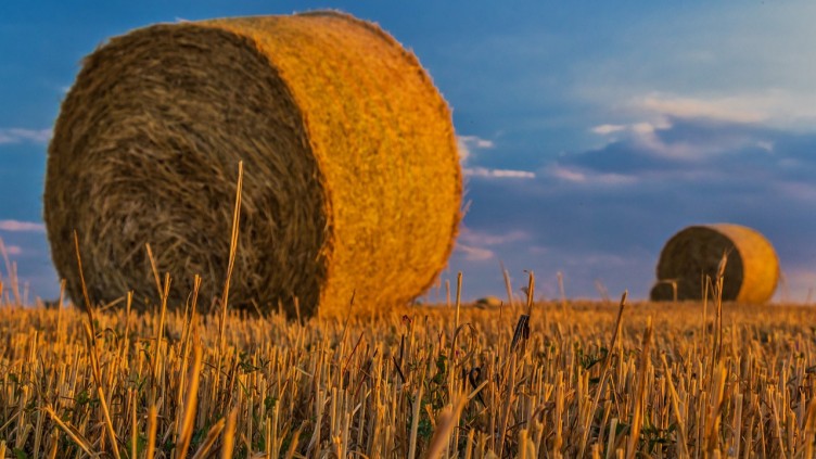 STATE OF FOOD #21 – QUI CONTRÔLE NOS TERRES ? LE GRAND ACCAPAREMENT AGRICOLE
