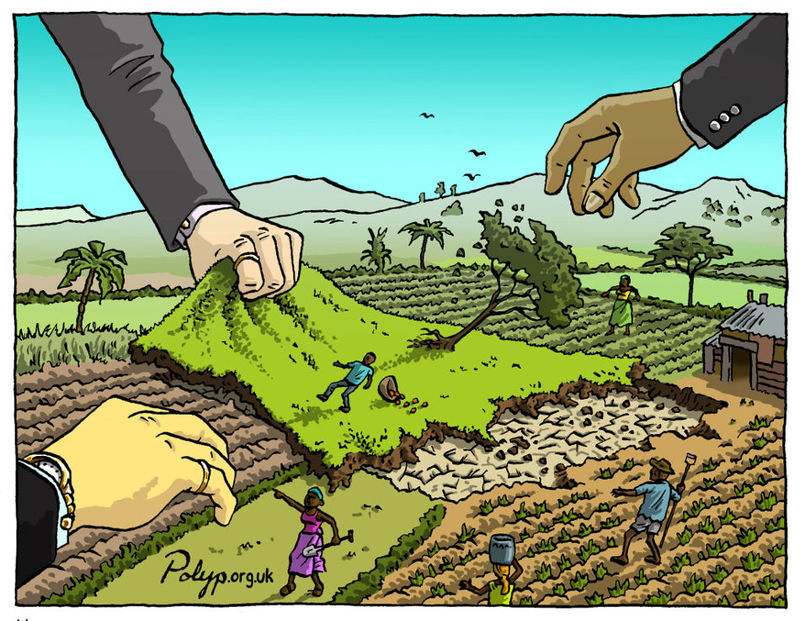 La tokenisation des terres agricoles