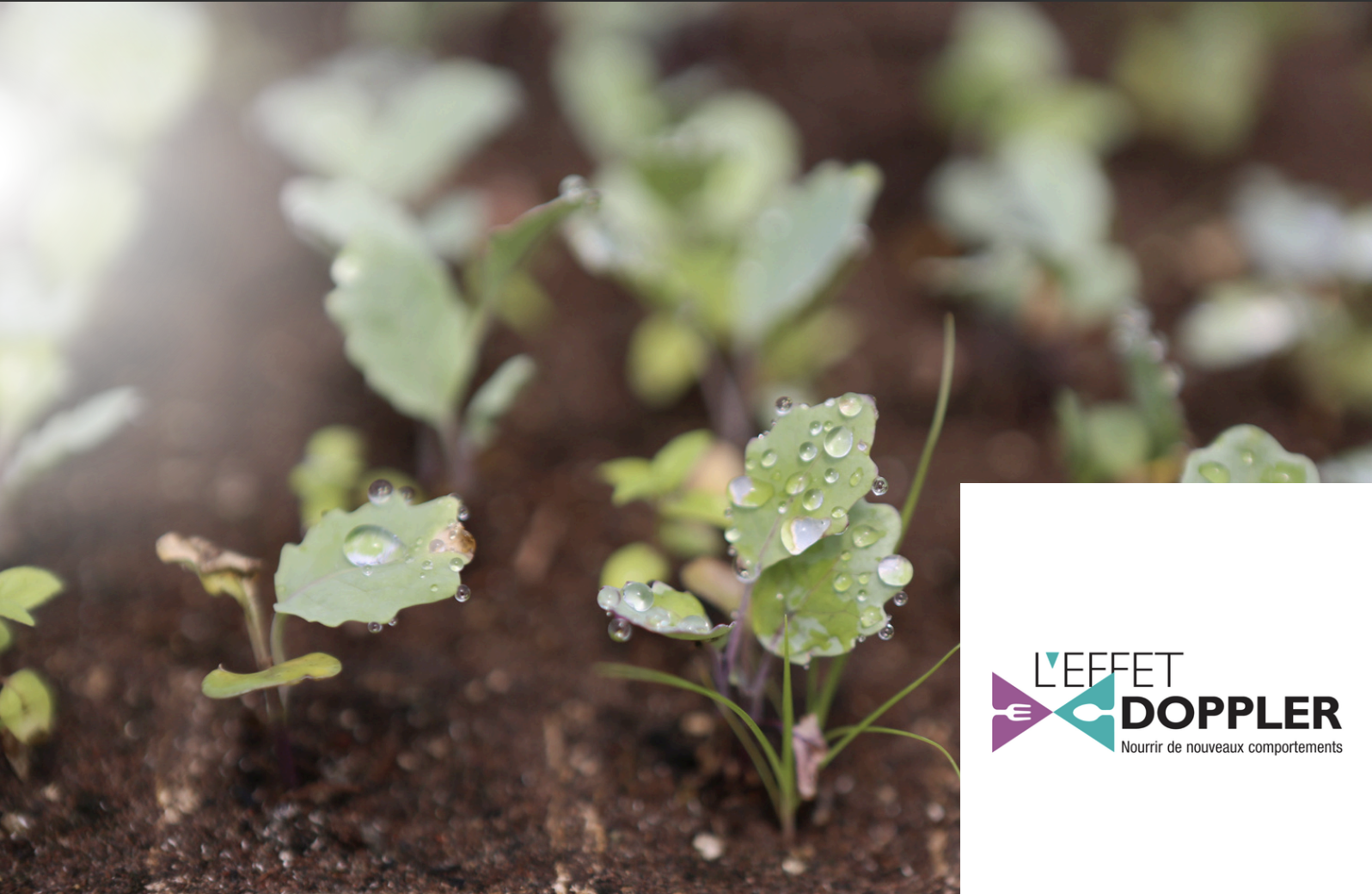 Préserver la pluralité agricole face à une norme européenne contestée