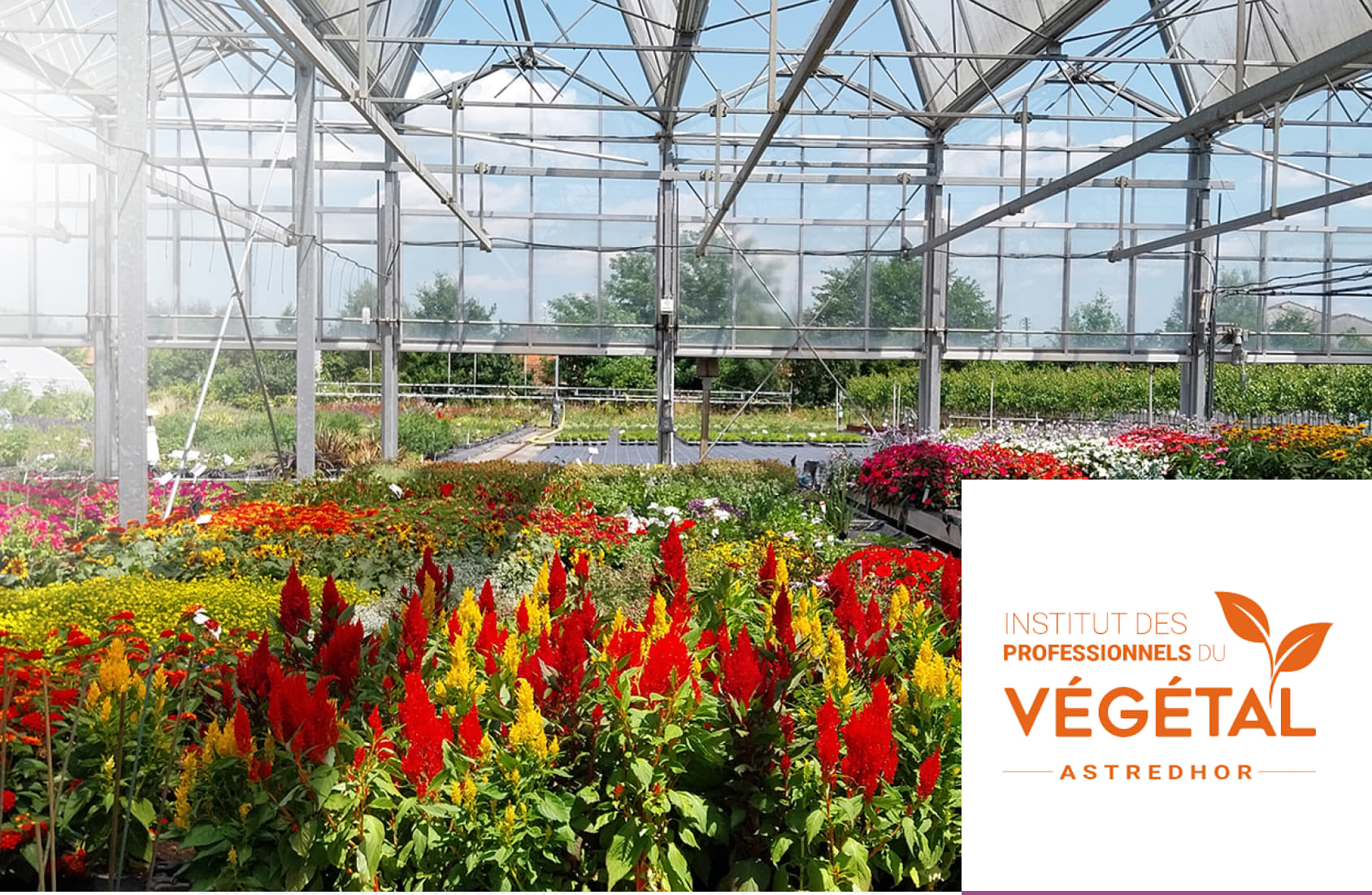 Affirmer l'innovation végétale comme transition écologique et territoriale