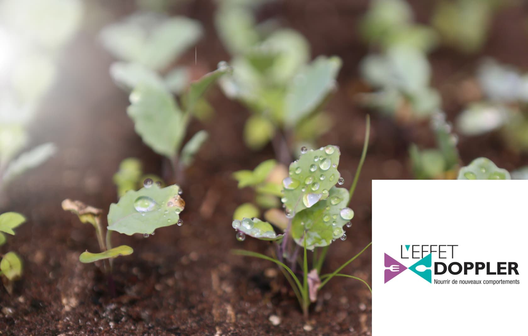 Préserver la pluralité agricole face à une norme contestée